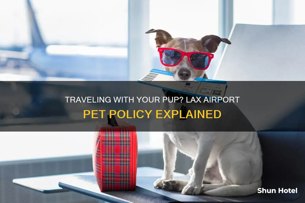 can i bring my dog to lax airport