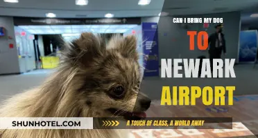 Traveling with Your Dog: Newark Airport Pet Policy