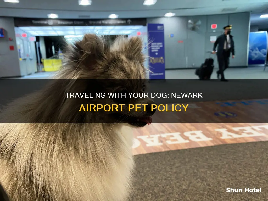 can i bring my dog to newark airport