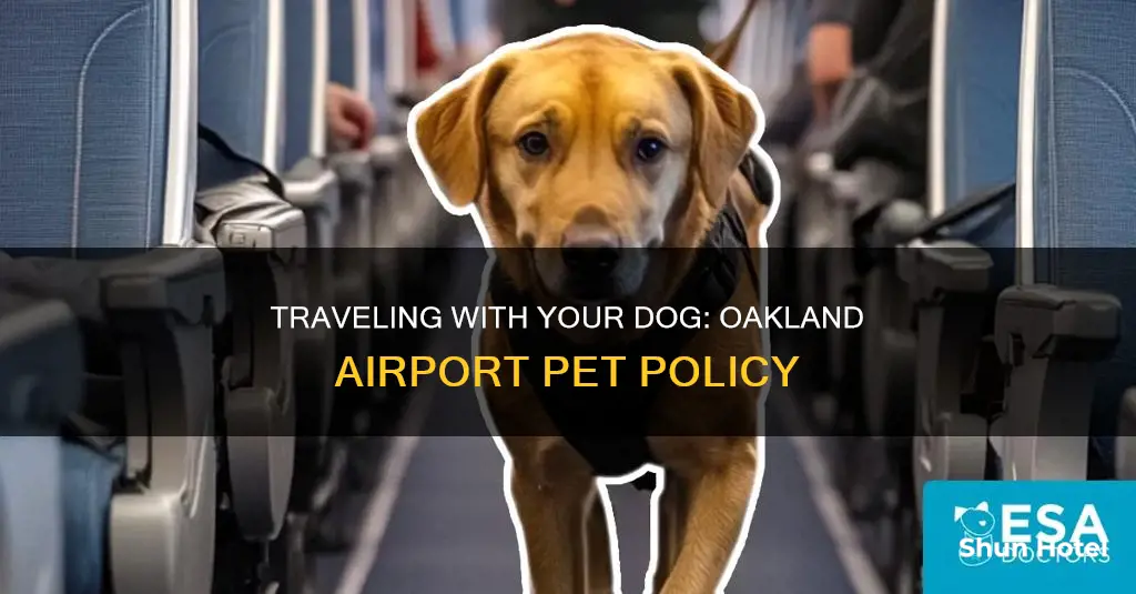 can i bring my dog to oakland airport