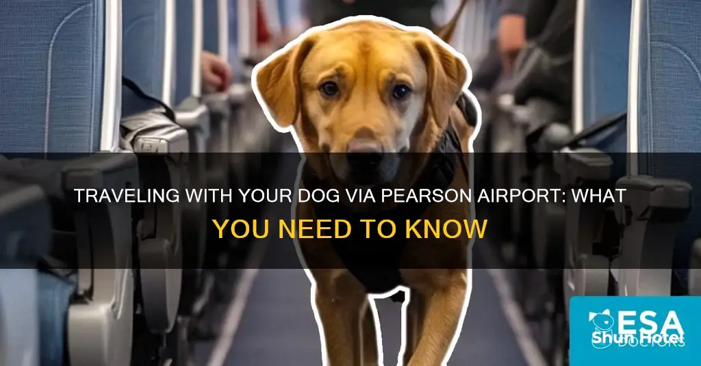can i bring my dog to pearson airport