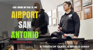 San Antonio Airport: Can I Bring My Dog?