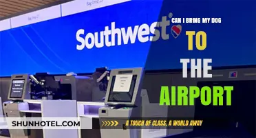 Airport Dog Policies: Can I Bring My Pup?