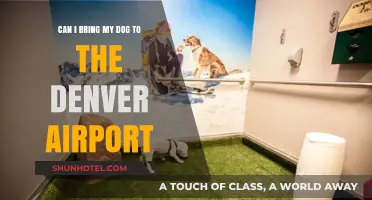 Denver Airport: Can I Bring My Dog?