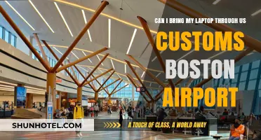Laptop Travel: Customs Clearance at Boston Airport