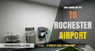 Bringing Pets to Rochester Airport: What You Need to Know