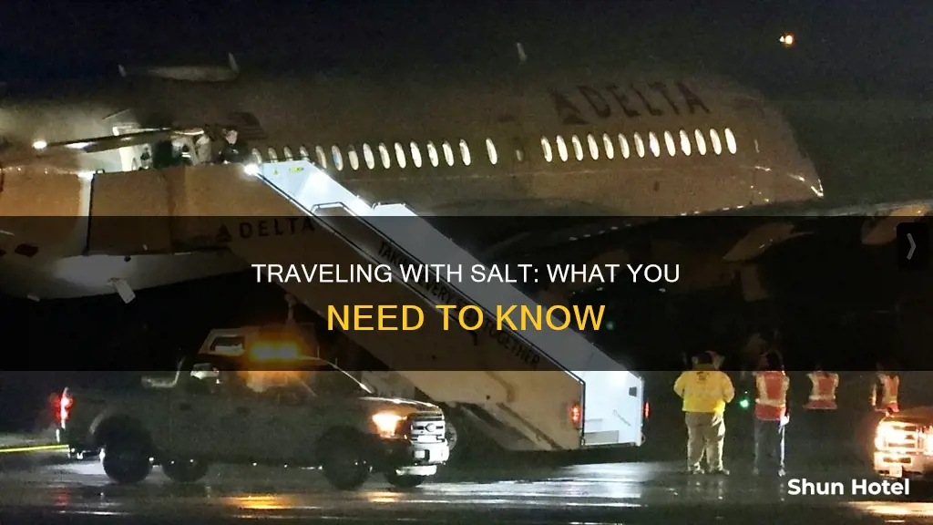 can i bring salt into the airport
