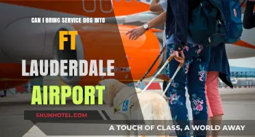 Service Dogs at Ft. Lauderdale Airport: What You Need to Know