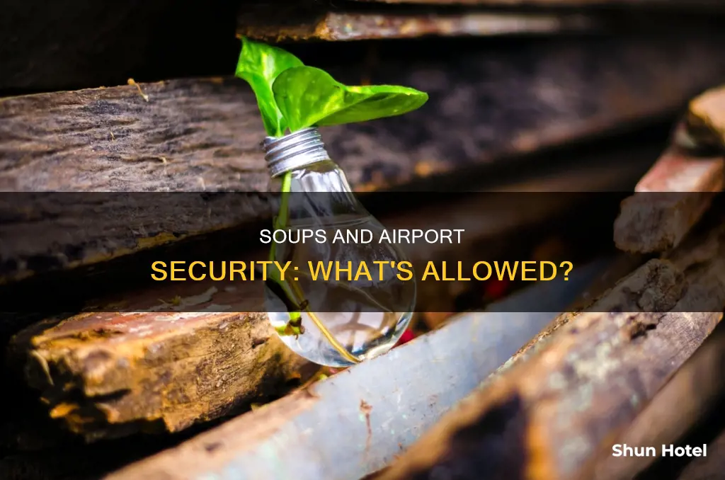 can i bring soup through airport security