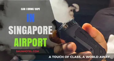 Vaping in Singapore: What's the Deal at Changi Airport?