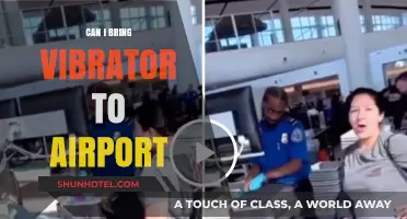 Traveling with a Vibrator: Airport Security and You