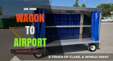 Airport Wagon Woes: What You Need to Know