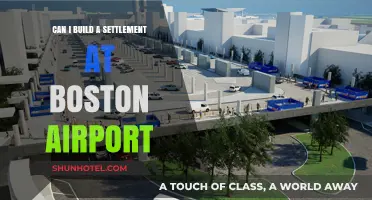 Building a Settlement at Boston Airport: Is It Possible?