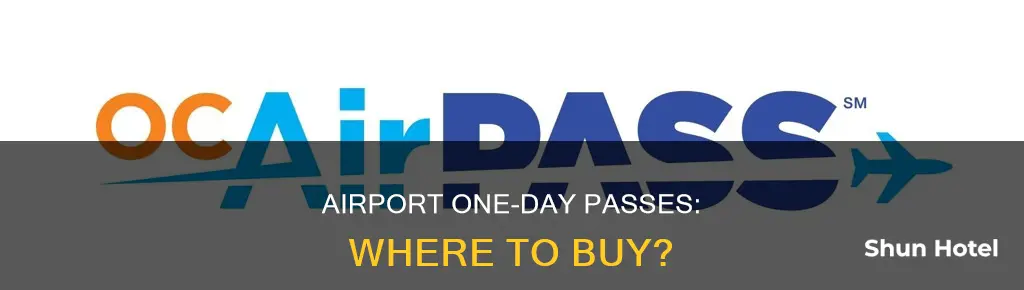 can i buy a 1 day pass at the airport