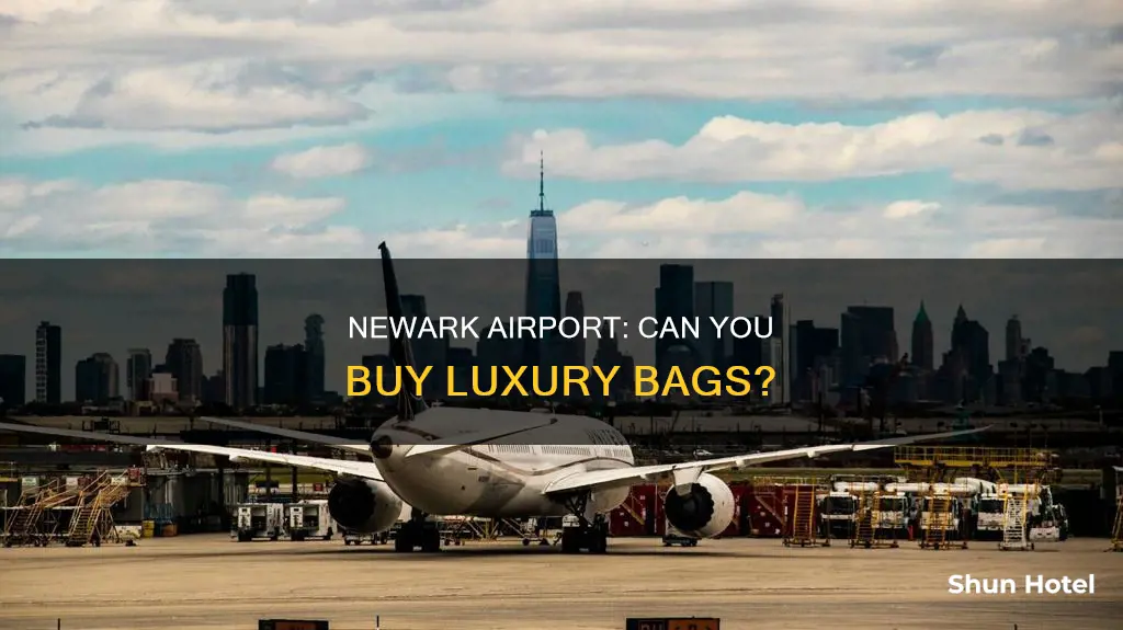 can i buy a bag in newark airport