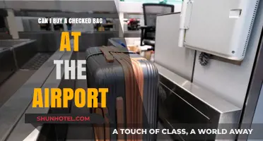 Purchasing Checked Bags: Last-Minute Airport Options