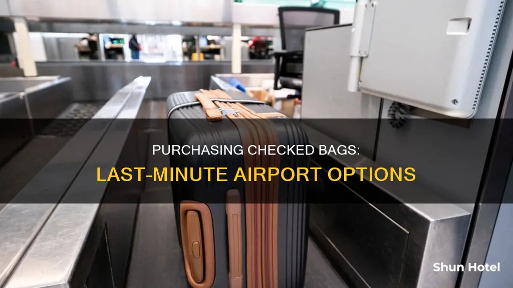 can i buy a checked bag at the airport