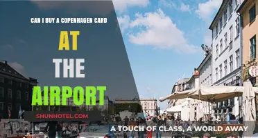 Copenhagen Card: Airport Purchase and Benefits
