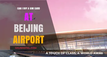 Buying Sim Cards at Beijing Airport: Is it Possible?