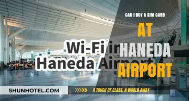 Haneda Airport: Buying a Sim Card
