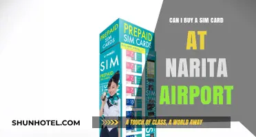 Buying Sim Cards: Narita Airport Kiosks