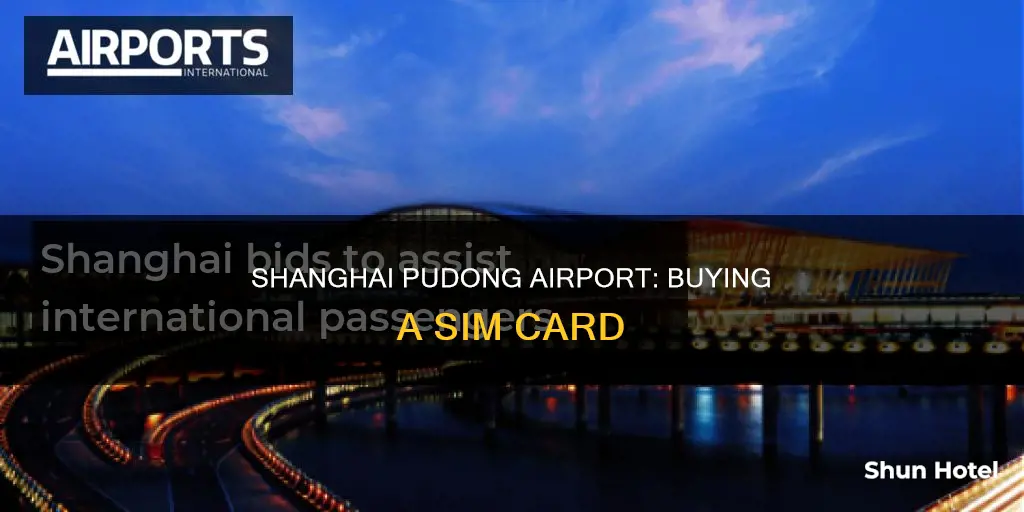 can i buy a sim card at pudong airport