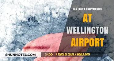 Wellington Airport Snapper Card Purchase: Where to Buy?