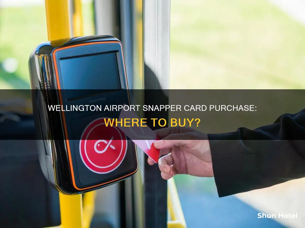 can i buy a snapper card at wellington airport
