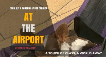 Southwest Pet Carrier: Buy at the Airport?