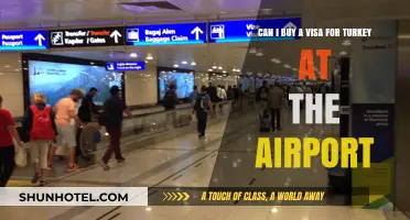 Turkey Visa: Airport Purchase Possible?