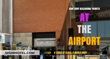 Alilaguna Tickets: Where to Buy at the Airport?