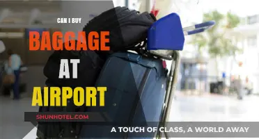 Purchasing Baggage: An Airport Option?