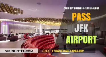 Business Class Lounge Access: JFK Airport