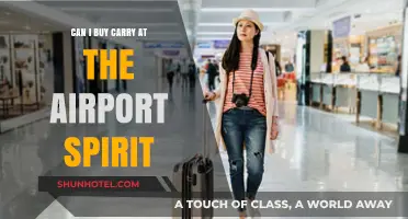 Travel-Friendly Spirits: Buying Carry-On Alcohol