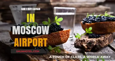 Buy Caviar at Moscow Airport: Is It Possible?