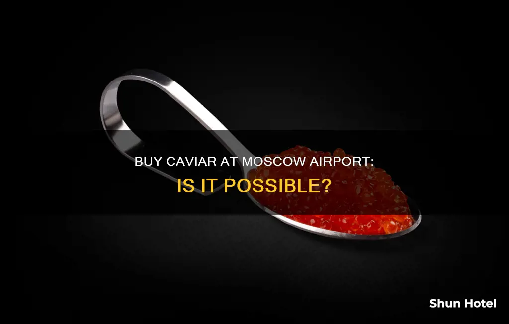 can i buy caviar in moscow airport