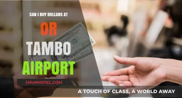 Purchasing Dollars at OR Tambo Airport: Is It Possible?