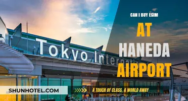 eSIM Availability at Haneda Airport