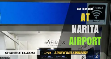 eSIM Availability at Narita Airport