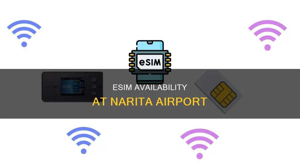 can i buy esim at narita airport