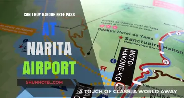 Where to Buy Hakone Free Pass: Narita Airport Edition