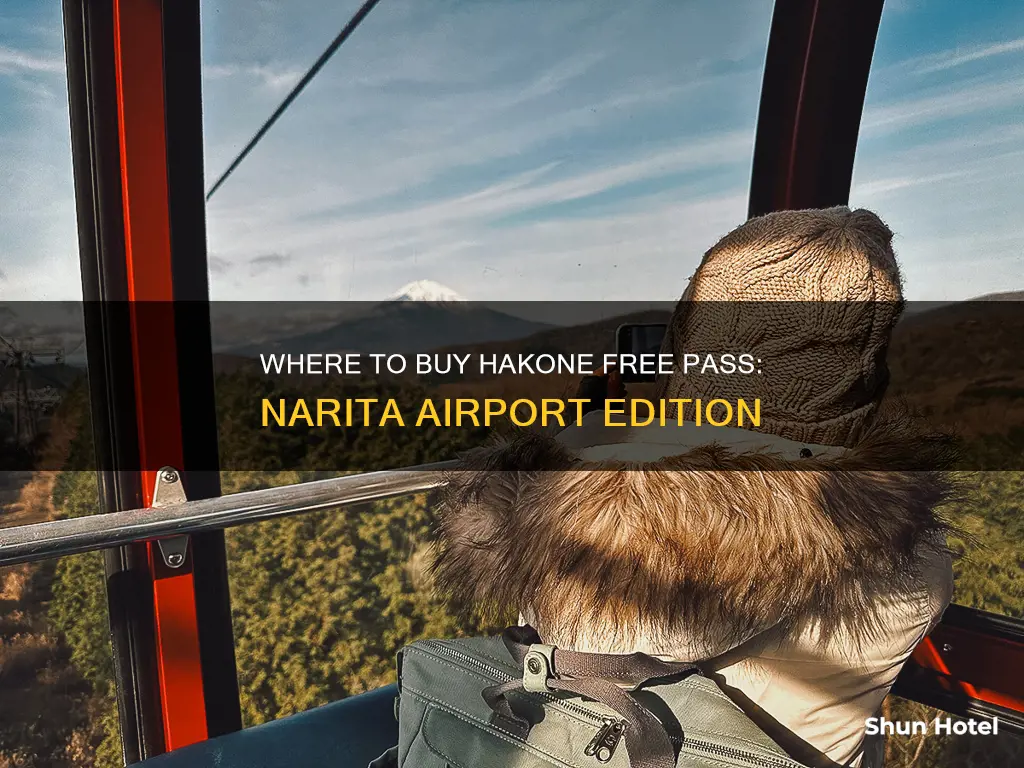 can i buy hakone free pass at narita airport