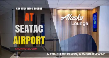 Exploring Options: Buying Access to Airport Lounges