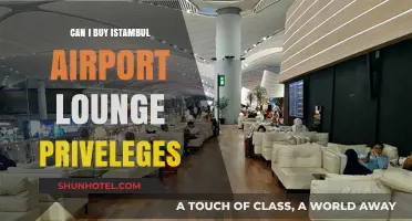 Istanbul Airport Lounge Privileges: Can I Buy Access?