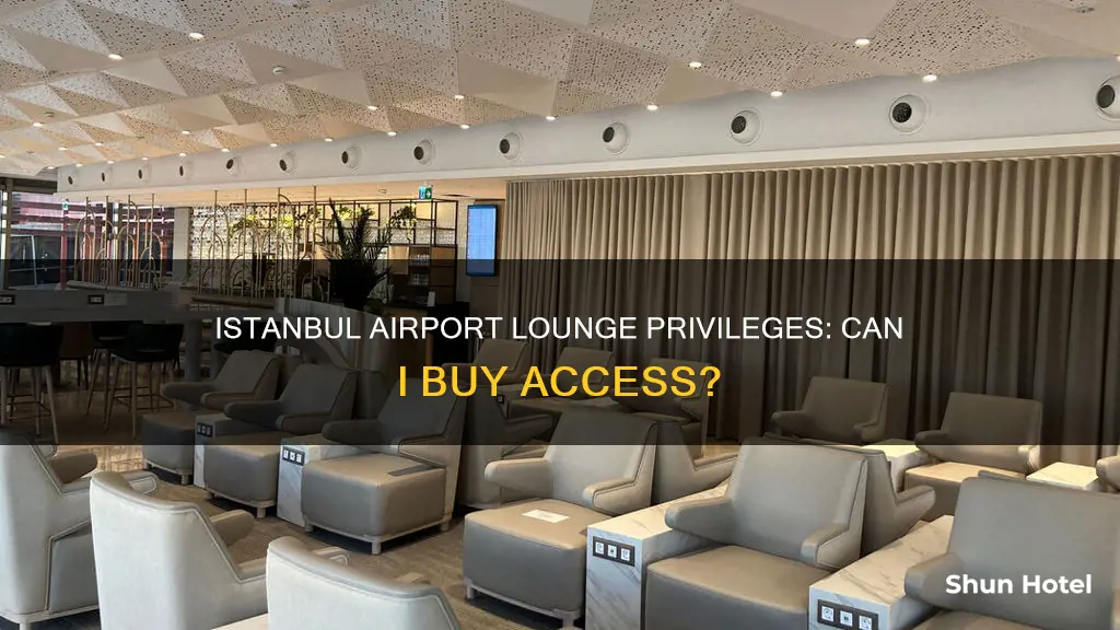 can i buy istambul airport lounge priveleges