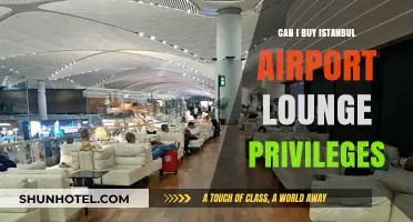 Istanbul Airport Lounge Access: Can You Buy It?