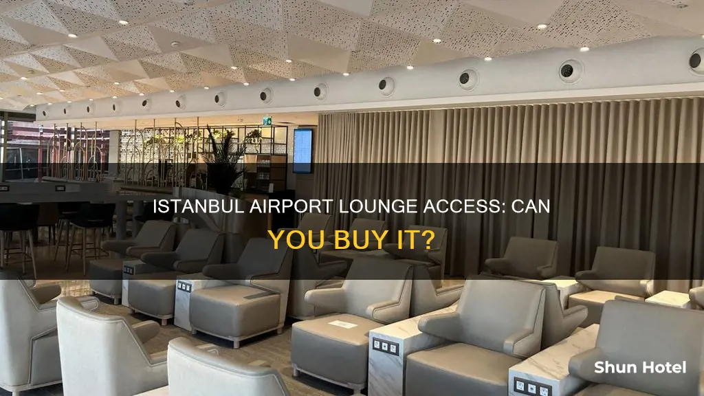 can i buy istanbul airport lounge privileges