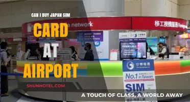 Buying a Japan SIM Card: Airport Purchase?