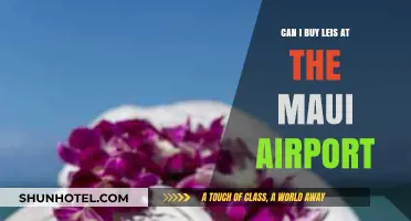 Maui Airport Lei Buying Guide