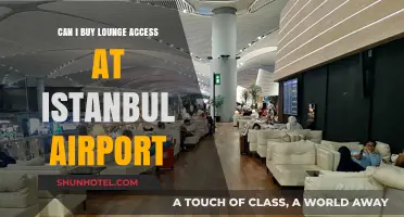 Lounge Access at Istanbul Airport: Can I Buy It?